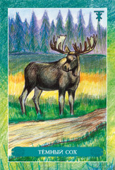 Оракул Волшебные Тотемы - Фото 3