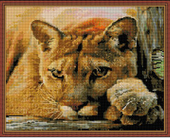 Алмазная мозаика 3D с нанесенной рамкой «Пума» - Фото 1