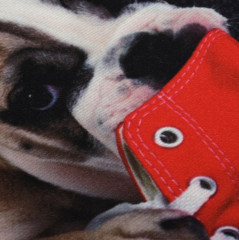 Коврик влаговпитывающий «Щенок» - Фото 3