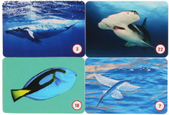 Игра карточная «Морские животные» - Фото 1