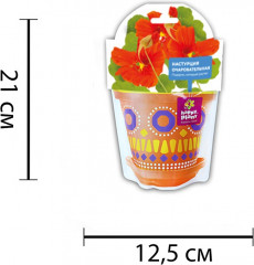 Набор подарочный для выращивания «Настурция очаровательная» - Фото 1
