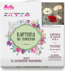 Картина по номерам «Маки на тёмном фоне» - Фото 1