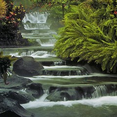 Чудеса природы - Фото 1