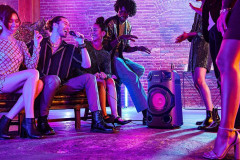 Система акустическая Sony MHC-V13 - Фото 3