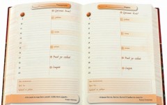 Ежедневник успешной женщины (красный) - Фото 1