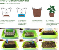 Почвобрикет «Герань» - Фото 1
