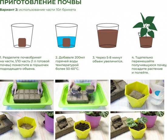 Почвобрикет «Пальма»