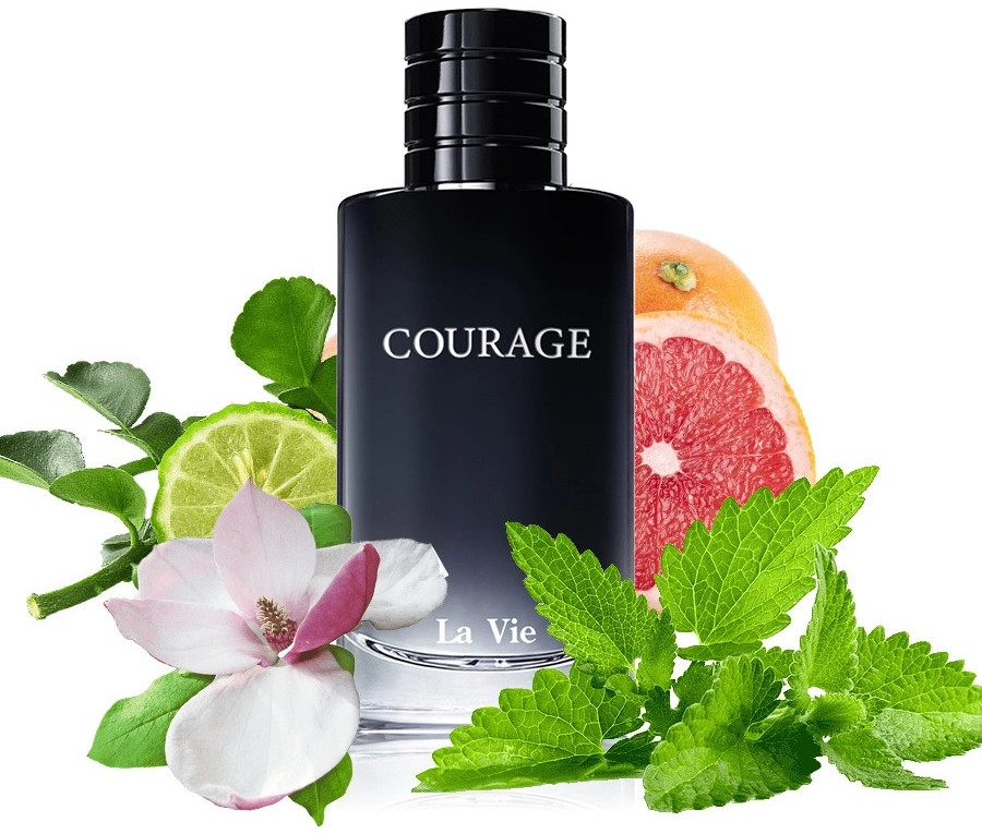 Туалетная вода «Courage», 100 мл — La Vie — Dilis Parfum