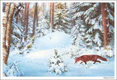 Картины из жизни диких животных. Наглядно-дидактическое пособие. 3-7 лет. ФГОС - Фото 1