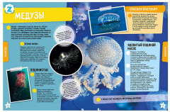 Океан.250 невероятных фактов - Фото 1