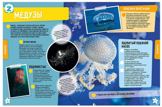 Океан.250 невероятных фактов