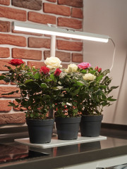 Фитосветильник «Растущий светильник» - Фото 4