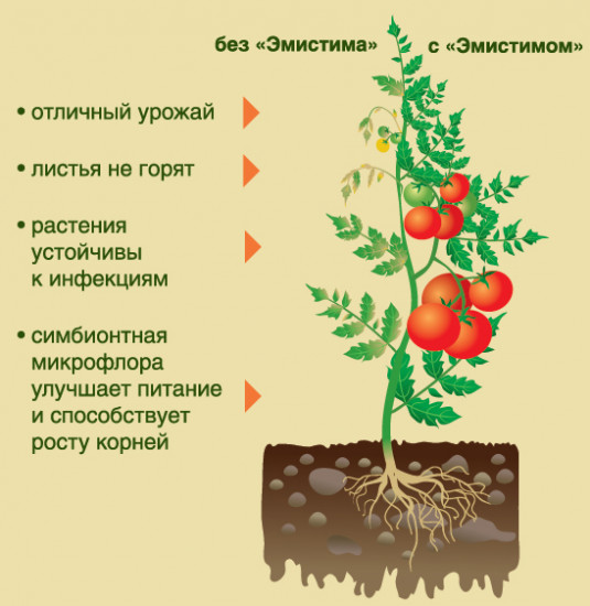Стимулятор роста растений «Эмистим»