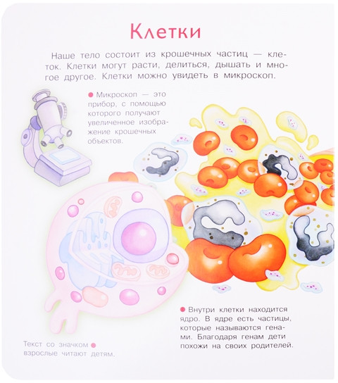 Что? Почему? Зачем? Наше тело