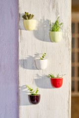 Набор мини-кашпо «Pocket» ( красный, белый, черный) - Фото 2