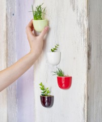 Набор мини-кашпо «Pocket» ( красный, белый, черный) - Фото 1