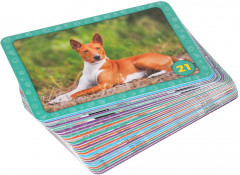 Игра настольная «Мемо. Домашние животные» - Фото 2