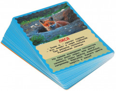 Карточки развивающие «Кто где живет?» - Фото 1