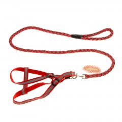 Комплект «НЛО» (флюорисцентный поводок 1,0х120 см и шлейка 34-52/36-54 см), цвета в ассортименте - Фото 1