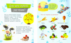 Растения - Фото 1