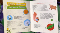 Растения - Фото 2