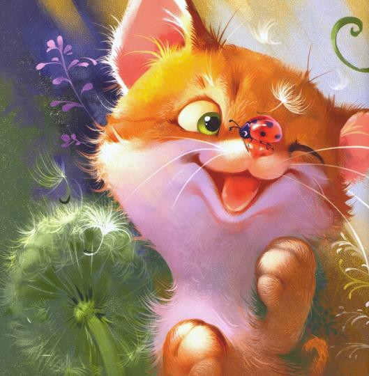 Котенок и солнышко