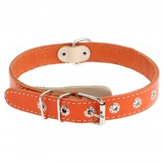 Ошейник однослойный (ширина 2,5 см) с выносным кольцом, цвета в ассортименте - Фото 2