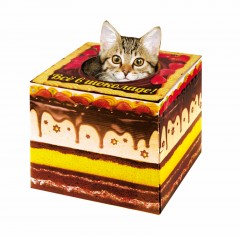 Домик-коробка с матрасом «Торт - все в шоколаде», вход сверху - Фото 4