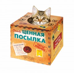 Домик-коробка с мех. матрасом «Ценная посылка», вход сверху - Фото 4