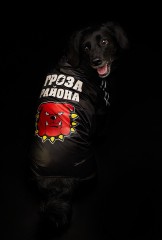 Комбинезон-дождевик «Гроза района», размер 2XL - Фото 4