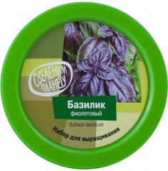 Набор для выращивания «Базилик фиолетовый» - Фото 1