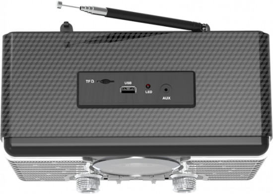Радиоприемник портативный Ritmix RPR-095