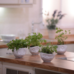 Чаша «Sulking» - Фото 5