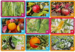 Игра настольная «Мемо. Фрукты и овощи» - Фото 5