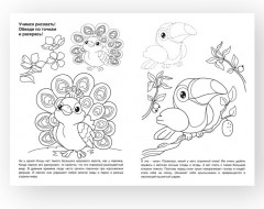 Птицы - Фото 1