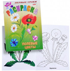 Раскраска «Полевые цветы» - Фото 1