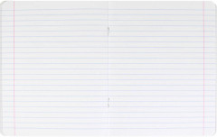 Тетрадь предметная «Русский язык» - Фото 3