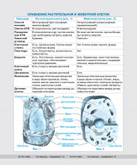Тетрадь предметная со справочным материалом «Биология» - Фото 1