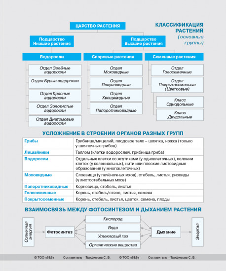 Тетрадь предметная «Биология»