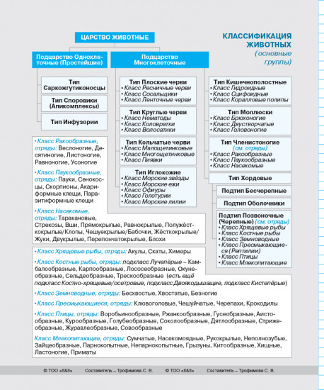 Тетрадь предметная «Биология»