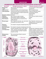 Ақылды бетбелгі. 7–9 сыныптарға арналған жаднама. № 3 жинақ - Фото 3
