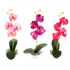 Композиция «Орхидея Каттлея», цвет в ассортименте - Фото 1