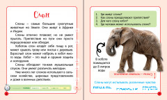 Загадочная Африка - Фото 1