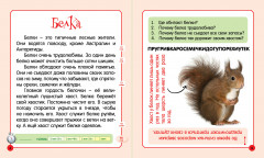 Таинственная Евразия - Фото 1