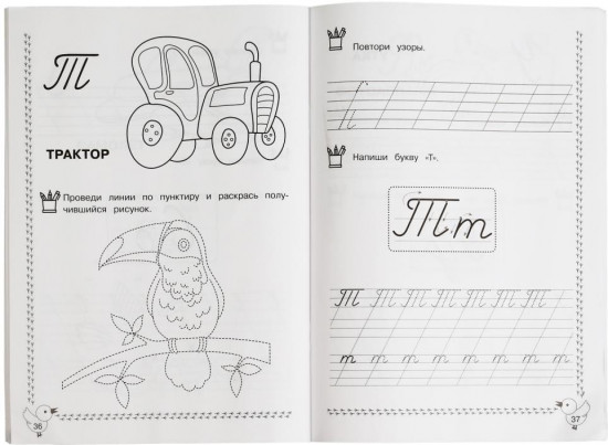 Каллиграфические прописи. Готовим руку к письму, 5-6 лет
