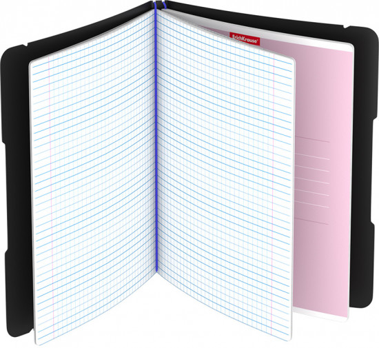 Тетрадь школьная «Accent»