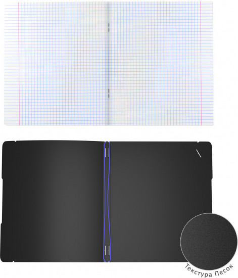 Тетрадь школьная «Accent»