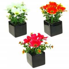 Композиция в квадратном горшке «Космеи», цвет в ассортименте - Фото 1