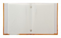 Фотоальбом 36 фото «Люблю позировать» - Фото 1