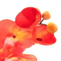 Цветы искусственные «Оранжевые орхидеи» - Фото 1
